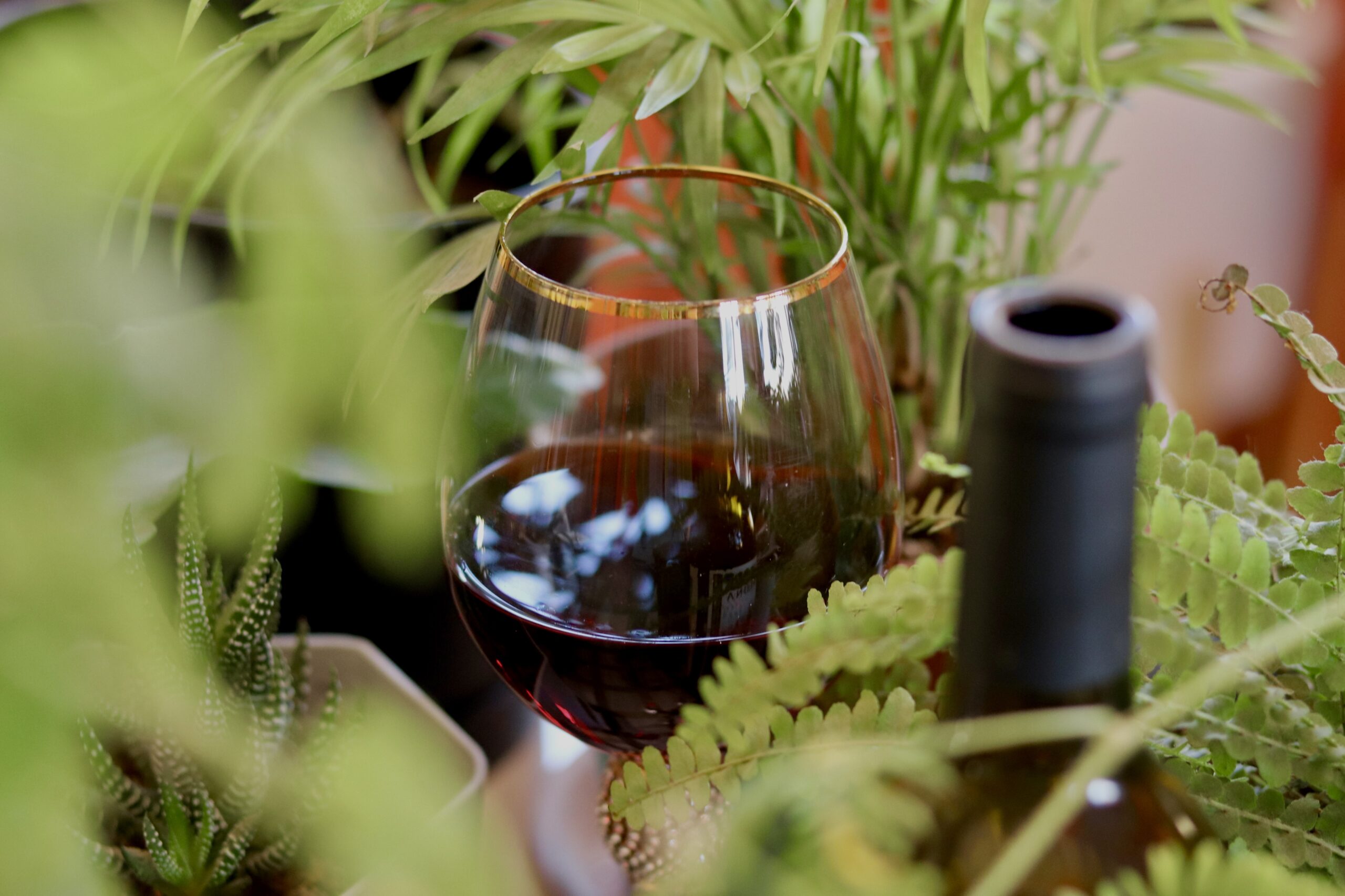 Robótica en viticultura: el futuro de los vinos ecológicos sin sulfitos