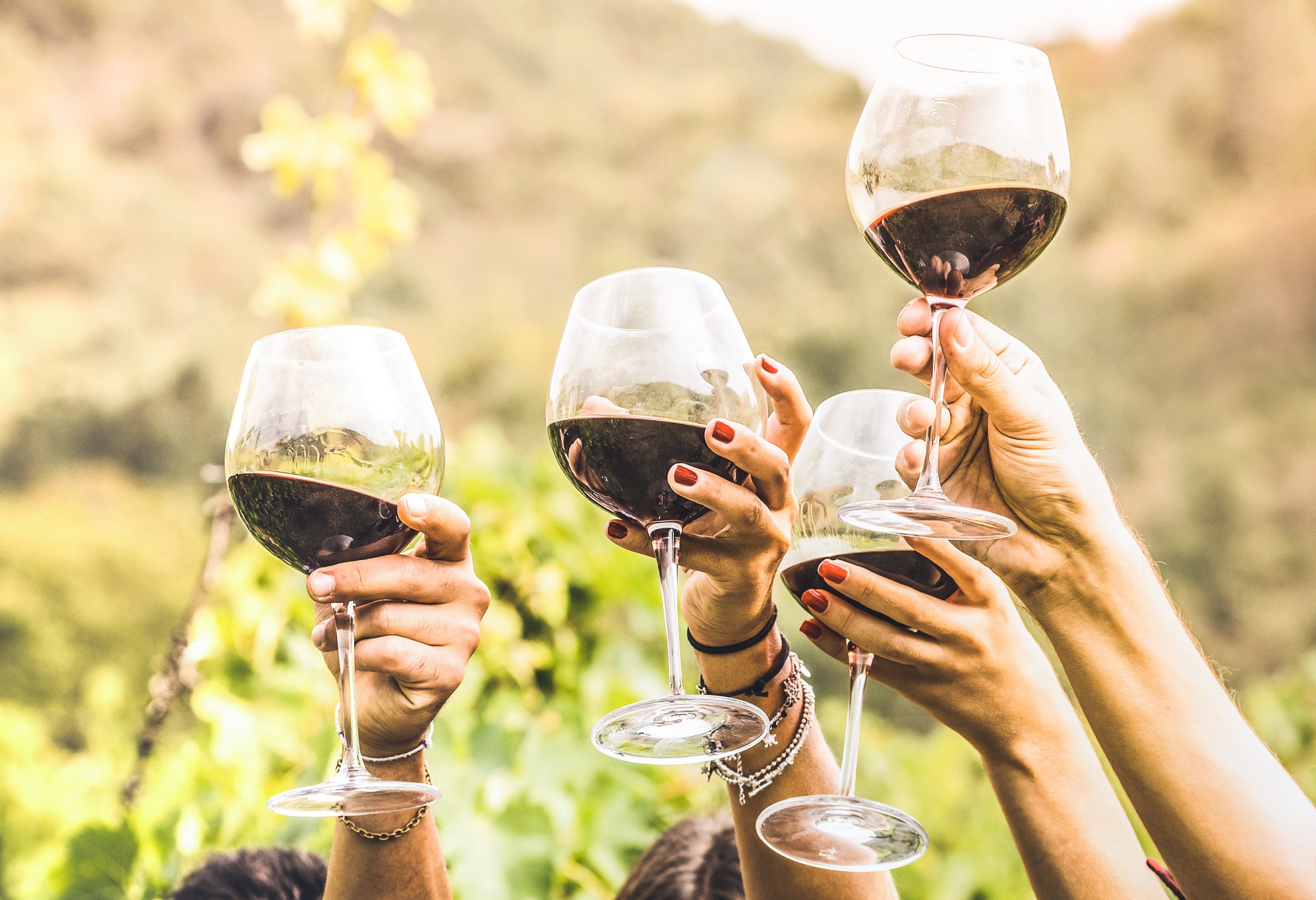 Vino Ecológico Español 2026